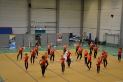 Rallye Demo 280118 (1)