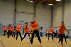 Rallye Demo 280118 (10)