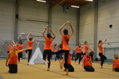 Rallye Demo 280118 (15)