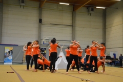 Rallye Demo 280118 (17)