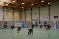 Rallye Demo 280118 (26)