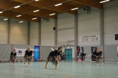 Rallye Demo 280118 (29)