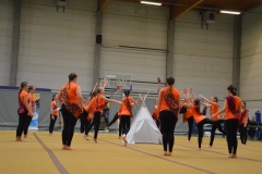 Rallye Demo 280118 (3)