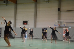 Rallye Demo 280118 (31)