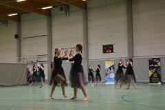 Rallye Demo 280118 (34)