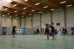 Rallye Demo 280118 (35)