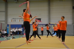 Rallye Demo 280118 (6)