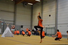 Rallye Demo 280118 (7)