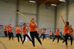 Rallye Demo 280118 (9)