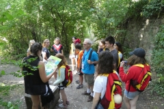 Eurogym_Liège2018 (13)